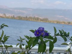 -西昌邛海宾馆