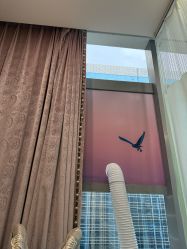 -北京米扬丽格医疗美容·联合丽格鼻整形中心