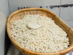 -老孙家饭庄·非遗(东关店)