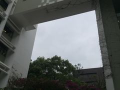 -香港大学