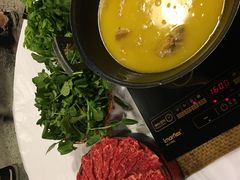 -鲜入围煮花胶鸡海鲜火锅