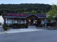 -呼吸森林·生态农庄农家乐私房菜