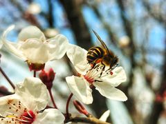 -两河城市森林公园