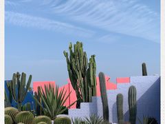 -漳州滨海火山岛自然生态风景区