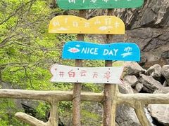 -洛阳白云山景区
