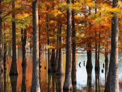 -白鹭湾湿地公园