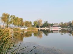 -西海子公园