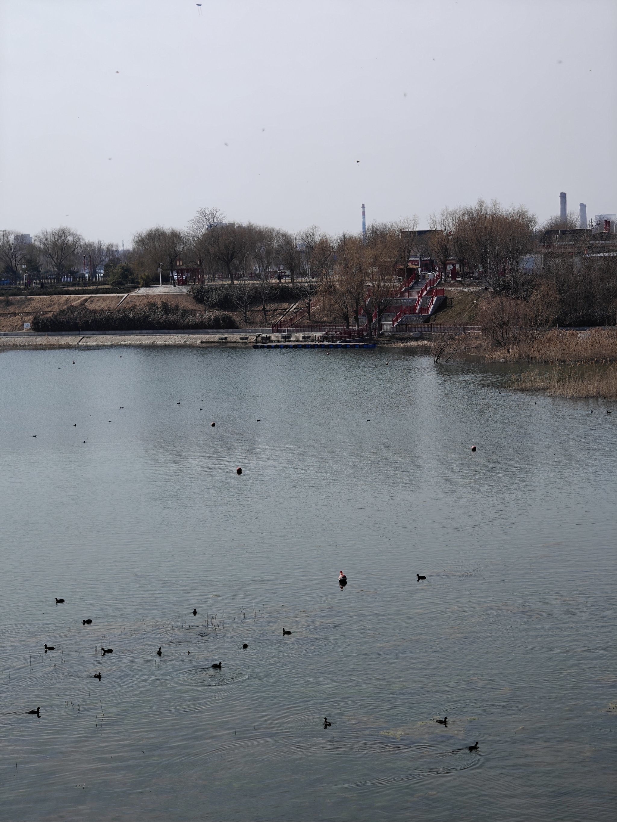 洹河,海河流域漳卫南运河水系卫河支流.古
