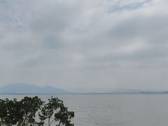 -福田红树林生态公园