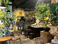 -自由生长植物工作室(深港花卉中心店)