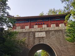-云岗森林公园