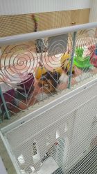 点击看大图 -奈尔宝·儿童乐园·亲子餐厅(华采天地店)