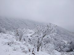 -太子岭滑雪场