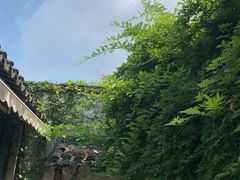 -小雅青年旅舍(平江路店)