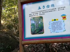 -广州市石门国家森林公园