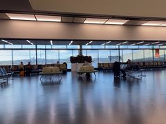 -维也纳国际机场