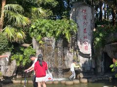 -广州市流溪河国家森林公园