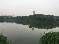-尚贤河湿地
