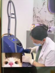 -东莞壹加壹整形美容医院