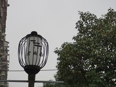 -志龙皇冠吃货椰子铺