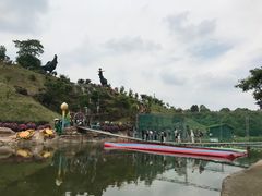 -都江堰玫瑰花溪谷