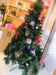 -芳朵美容养生SPA