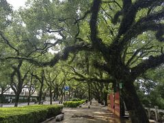 -桂林两江四湖景区
