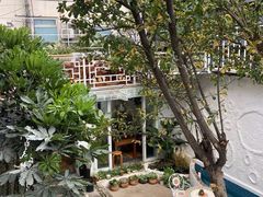 -阿鹏故事云南野生菌火锅(人民路店)