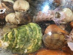 -鹏城人家海鲜酒家·23年老字号(较场尾店)