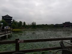 -黄海国家森林公园