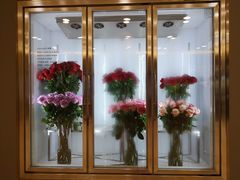 -ROSEONLY诺誓(国际广场购物中心店)