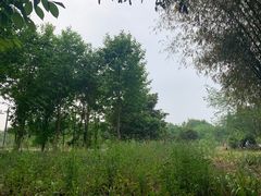 -桤木河湿地公园