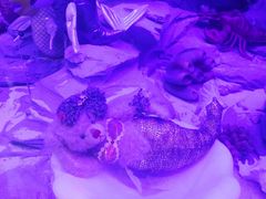 -成都泰迪熊博物馆