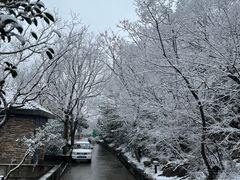 -紫金山山顶公园