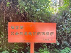 -寂照庵