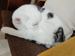 -三仟津花园咖啡馆