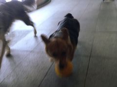 -金融街·静安中心