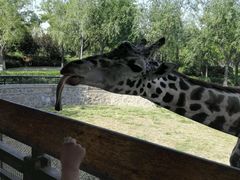 -辛玛王国游乐园