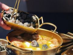 -Darling Queen·Mini·Live·House