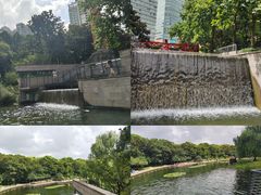 -徐家汇公园