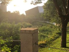-深圳野生动物园