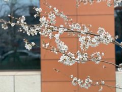 -山东省千佛山医院