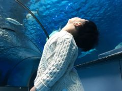 -泉城欧乐堡海洋极地世界