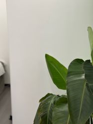 -张小野·专业半永久纹眉
