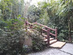 -大屏嶂森林公园