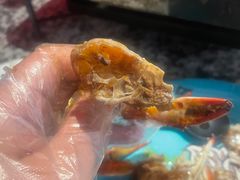 -蛙舍·炭烧牛蛙(东百中心店)