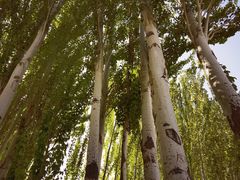 -拜城克孜尔千佛洞-售票处