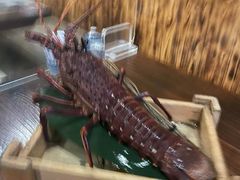 -矶野水产(澳门逸园中心店)