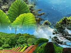 -广州市石门国家森林公园