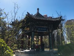 -迎泽公园